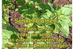 Grusskarte-Gertrud-klein